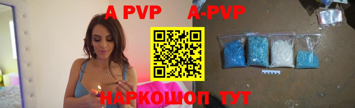 APVP СК Камышлов
