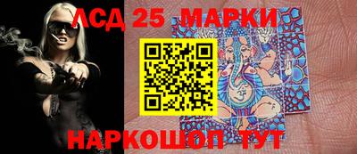 индика Бийск