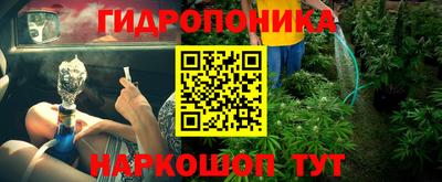 индика Бийск