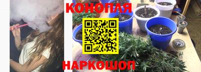 индика Бийск