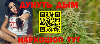 индика Бийск