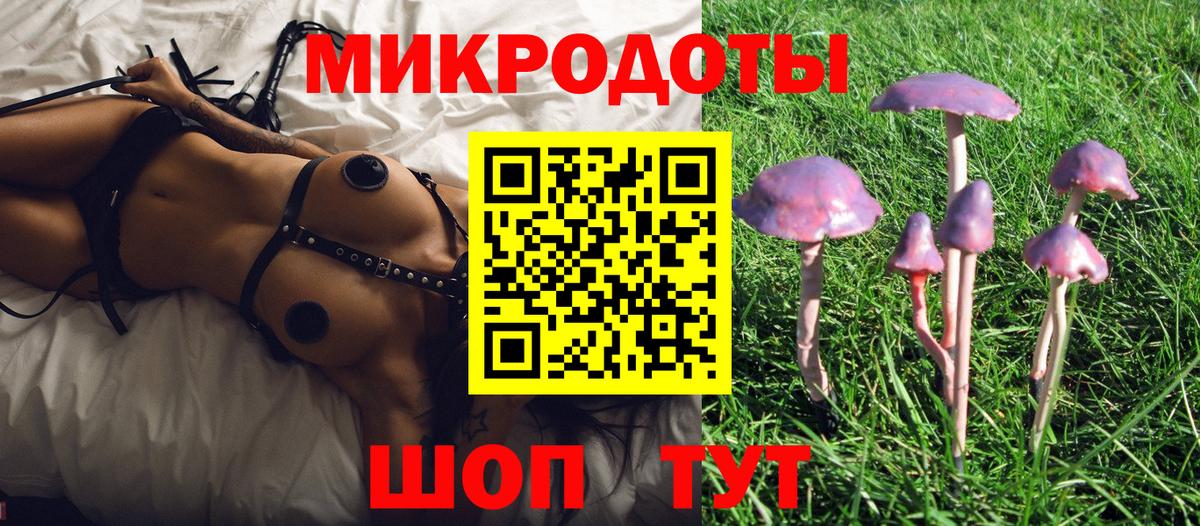 Галлюциногенные грибы Cubensis  магазин  наркотиков  Камышлов  Вход с VPN 